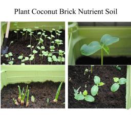 650g planta universal tijolo de coco solo nutritivo verde natural planta tijolo de coco para o plantio de jardim flores vegetais solo - Image 6