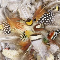 50 unidades/pacote penas de faisão pecock naturais para artesanato diy jóias fazendo acessórios pequenas plumas de frango decoração atacado - Image 3