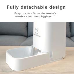 Alimentador e bebedor automático para gatos, grande capacidade, cão, dispensador de água, filhotes de estimação, recipiente de comida, alimentação automática para gatos - Image 5