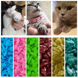 Colorido Cat Nail Caps com Cola Adesiva Livre, Garra Macia Patas, Nova Moda, Pet Gift, Tamanho XS S M, 20 Pcs por Lote - Image 5