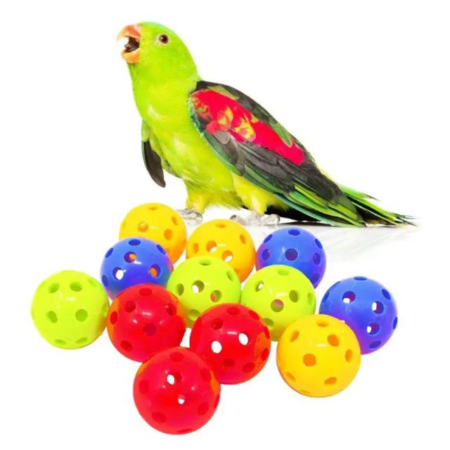 Diversão Colorida para Pássaros: Conjunto de 12 Brinquedos para Gaiolas de Papagaios