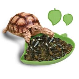 Répteis anfíbios alimentador plástico réptil terrário bacia de alimentação tartaruga lagarta esteira rolante bacia fonte de água para tartarugas - Image 2