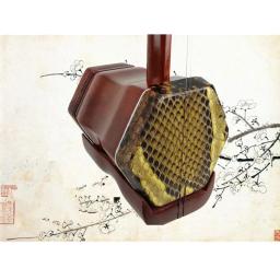 Escultura de osso em mogno, instrumento musical profissional de duas cordas com cordas, erhu chinês de qualidade chinês - Image 5