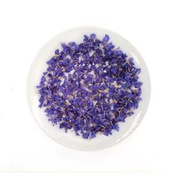 Natural secas pétalas azuis casamento e festa capaz confetes decoração biodegradável diy pastelaria bolos acessórios 2 g/saco - Image 1