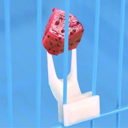 Novo 1 pçs pássaros papagaios frutas garfo para animais de estimação suprimentos plástico suporte de alimentos prateleira alimentação na gaiola suprimentos para animais de estimação frutas lanches garfo - Image 2
