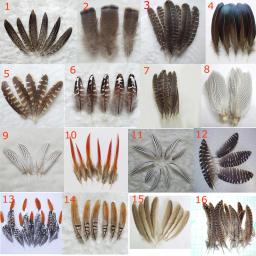 Plumas! Natural Penas De Faisão Para Artesanato, Acessórios De Jóias, Decoração De Férias De Natal, Opcional, De Alta Qualidade, 10Pcs - Image 3