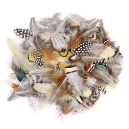 50 unidades/pacote penas de faisão pecock naturais para artesanato diy jóias fazendo acessórios pequenas plumas de frango decoração atacado - Image 1