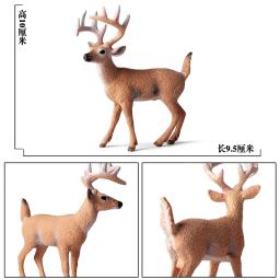 Boneco colecionável de animais selvagens, boneco de rena sika com cauda de veado, brinquedo para crianças e decoração da casa - Image 2