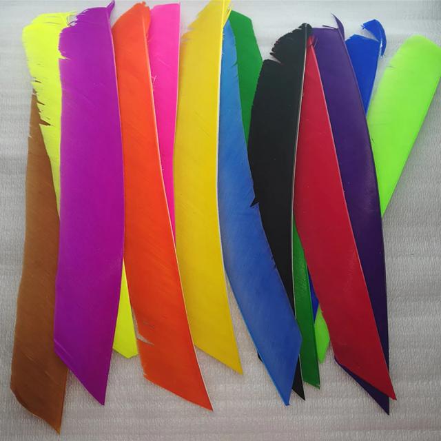 Penas de Peru Real para Tiro com Arco e Flecha de Caça - Pacote com 100 Peças Multicoloridas e Comprimento Total Ideal para Fotografia