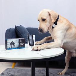 Pet treinamento de controle remoto coleira do cão com vibração choque som recarregável elétrica à prova dwaterproof água colar de treinamento do cão suprimentos - Image 3
