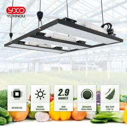 Samsung-LM301H LED Grow Light, Placa V3 com Driver Meanwell, 240W, 480W, 720W, 3000K, 3500K, 660NM, UV, IR, para plantas, Veg, Bloom - Image 4