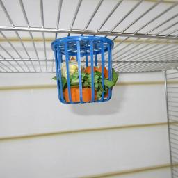 Gaiola alimentadora multiuso para animais de estimação, cesta criativa de alimentação de frutas e vegetais para pendurar em gaiola, 2 peças - Image 2