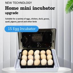 Mini Incubadoras de Ovos Digitais com Controle de Temperatura, Automático, Doméstico, Fazenda, Frango, Pato, Codorna, Hatcher, HT-15 - Image 2