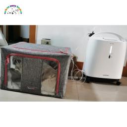 Gaiola de oxigênio resistente a riscos para cães e gatos médios Gaiola dobrável para animais de estimação, Gaiolas de atomização animal - Image 6