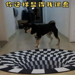 Brinquedos do cão 3d vertigo tapete engraçado gato de estimação brinquedo artefato para andar a roupa do cão cães acessórios suppules teste plaything - Image 4