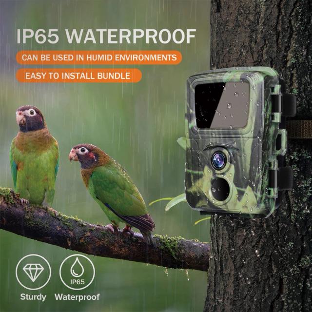 Mini Câmera de Caça 20MP 1080p para Monitoramento de Vida Selvagem na Floresta