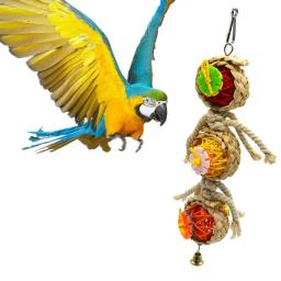 Brinquedo De Mastigação De Papagaio Com Sino, Triturador De Papagaio, Seco Anti-morder, Gaiola, Acessórios De Pássaro, Brinquedos De Papagaios - Image 5