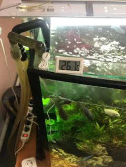 Termômetro digital lcd impermeável para aquário, precisão eletrônica ferramenta de medição de temperatura - Image 2
