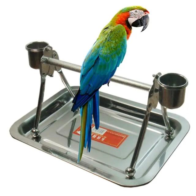 Suporte de Aço Inoxidável para Pássaros de Estimação com Bandeja de Alimentação e Brinquedo de Descanso para Papagaios Médios e Grandes