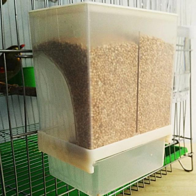 Alimentador Automático de Pássaros com Armazenamento à Prova de Respingos para Aves como Pombos, Papagaios e Galinhas