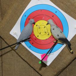 Alvo de tiro com arco 3d alvo animal pombo isca espuma eva oco tiro alvo para caça ao ar livre jogo treinamento vazio dentro - Image 3
