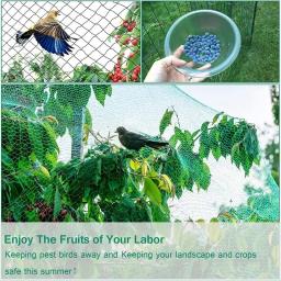 Rede de proteção para pássaros, tela verde antipássaros para proteção de plantas no jardim, para plantas e árvores frutíferas de pássaros, cercas e aves - Image 4