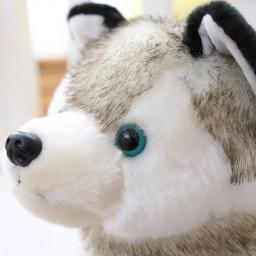 Simulação bonito husky cão brinquedo de pelúcia filhote de cachorro animais de pelúcia crianças meninos meninas boneca macio-kawaii lobo animal de estimação boneca bonito brinquedos para crianças - Image 6
