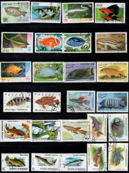 50 Pçs/lote Peixe Selo Selos postais Tema Diferente De Muitos Países NÃO Repetir com Pós Marca para a Coleta de - Image 2