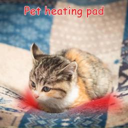 Almofada de aquecimento para animais de estimação almofada de aquecimento usb elétrico para cães e gatos indoor para ninhos de estimação almofadas para baixo jaquetas travesseiros - Image 3