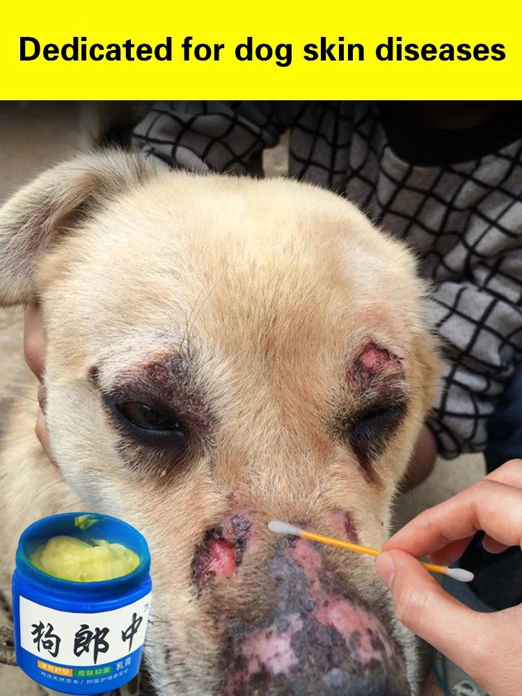 Cão pele doença tópica pomada infecção fúngica antipruriginoso antibacteriano cão micose eczema gato micose cuidado pomada - Image 1