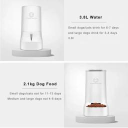 Alimentador e bebedor automático para gatos, grande capacidade, cão, dispensador de água, filhotes de estimação, recipiente de comida, alimentação automática para gatos - Image 3