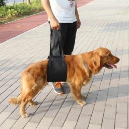 Colete de elevação para cachorro, suporte de elevação para ajuda canina, acessório para animais de estimação s/m/g/xl - Image 3