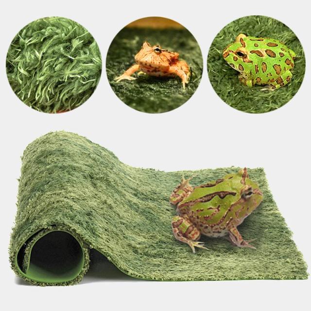 Tapete De Musgo Dupla Camada para Animais de Estimação: Conforto e Hidratante Ideal para Sapo, Tartaruga, Cobra e Lagarto
