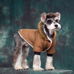 Roupa super quente do cão do inverno, tecido impermeável, hoodies grossos do animal de estimação, casaco de pele para pug, cachorro, chihuahua, cães pequenos, outono - Image 1