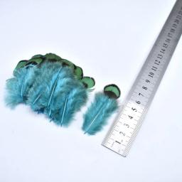Penas de feisão avestruz naturais para artesanato, DIY pavão penas para fazer jóias, decoração para festa, atacado - Image 2