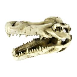 Resina dinossauro, osso, casa esquiva, réptil, simulação paisagem aquática, crânio, decoração do aquário - Image 3