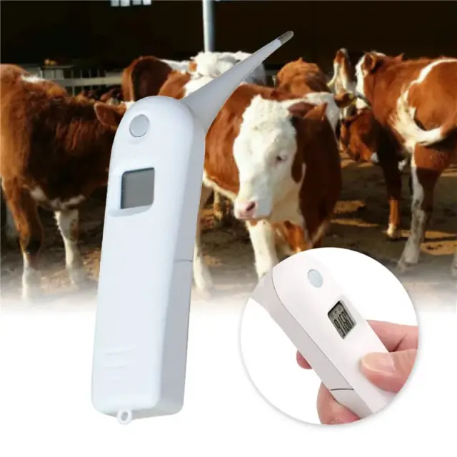 Termômetro Veterinário Digital para Animais de Estimação com Display LCD e Desligamento Automático para Cães, Gatos, Cavalos e Porcos