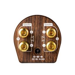 Amplificador De Áudio De Potência Digital Retro De Madeira, Estéreo Classe D, Amplificador HiFi, Home Theater AMP, Bluetooth 5.0, TPA3116, 2x50W - Image 4