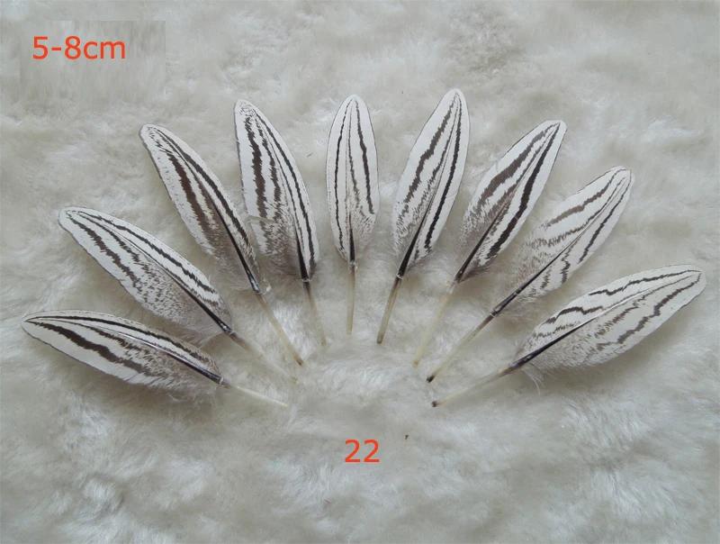 Plumas! Natural Penas De Faisão Para Artesanato, Acessórios De Jóias, Decoração De Férias De Natal, Opcional, De Alta Qualidade, 10Pcs - Image 1