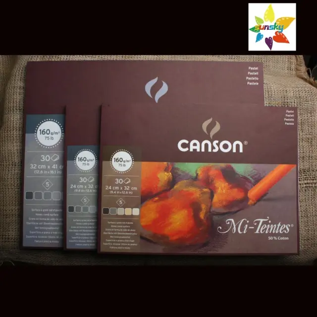 Pasta de Papel Canson Mi-Tientes: 5 Tons de Terra e 5 Tons de Cinza, 160gsm, 24x32cm e 32x41cm com Superfície Texturizada Livre de Ácido
