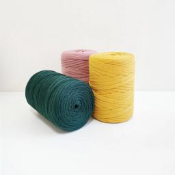 YOMDID-Fios planos coloridos, fios de crochê práticos, fios de tecelagem, acessórios de costura, artesanato, cachecol, bolsa, tricô, DIY, 250g - Image 3