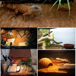 Tapete para répteis, esteira de tartaruga de coir, fibra de coco natural para terrário de animais de estimação, suprimentos para répteis, lagarto, cobra, melancia, tartaruga - Image 5