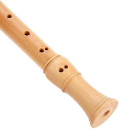 Aiersi-Flauta soprano madeira gravador com estojo rígido, 3 peça Blockflute estilo alemão ou barroco, profissional madeira de bordo - Image 4