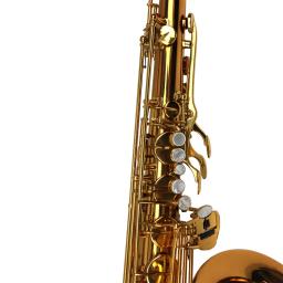 Saxofone profissional de alta qualidade, tom de ouro escuro, bb tenor, saxofone - Image 6