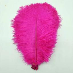 50 pçs/lote elegante pena de avestruz 35-40cm 14-16 polegada penas para artesanato fontes de festa de casamento carnaval dançarino decoração plumas - Image 2