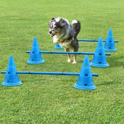 Cone de treinamento ao ar livre para cães, Copa da barreira do futebol, Hurdle and Running Products, 3 Set - Image 1