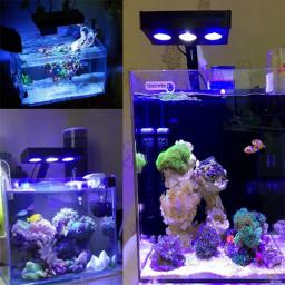 Lâmpada led multifuncional para aquário, espectro, multi-cores, controle inteligente de água do mar, coral, grama aquática, vários ajustes - Image 6
