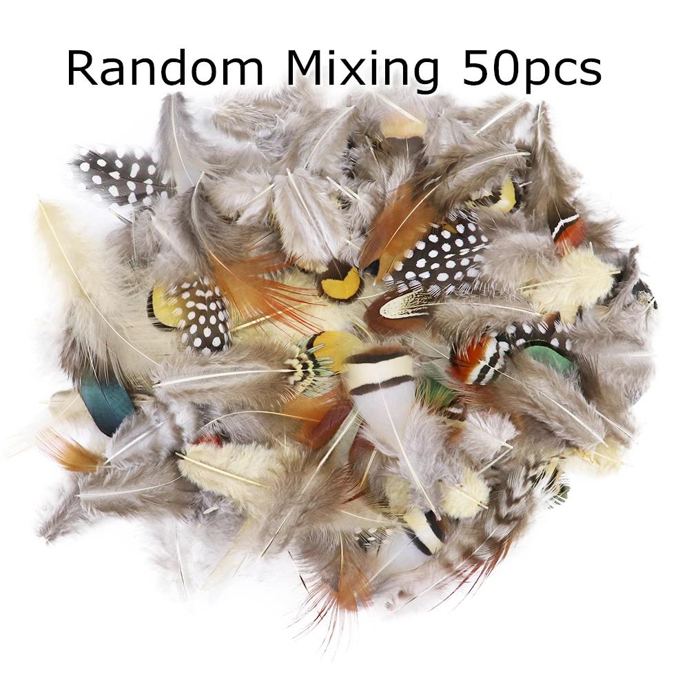 50 unidades/pacote penas de faisão pecock naturais para artesanato diy jóias fazendo acessórios pequenas plumas de frango decoração atacado - Image 1