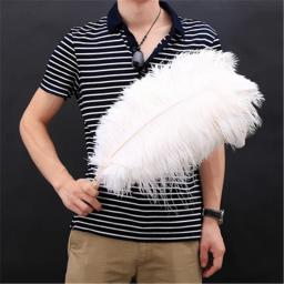 Atacado elegante branco penas de avestruz para artesanato 15-75cm fontes de festa de casamento carnaval dançarino decoração plumas plumages - Image 5