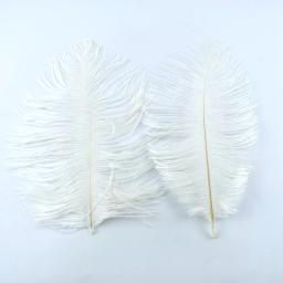 Penas de feisão avestruz naturais para artesanato, DIY pavão penas para fazer jóias, decoração para festa, atacado - Image 5